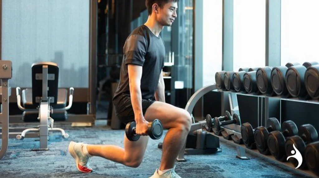 Full Body Workout Routine Split