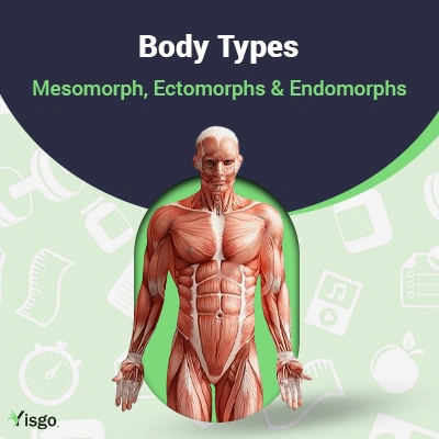Types of body Mesomorph, Ectomorph and Endomorph Differences