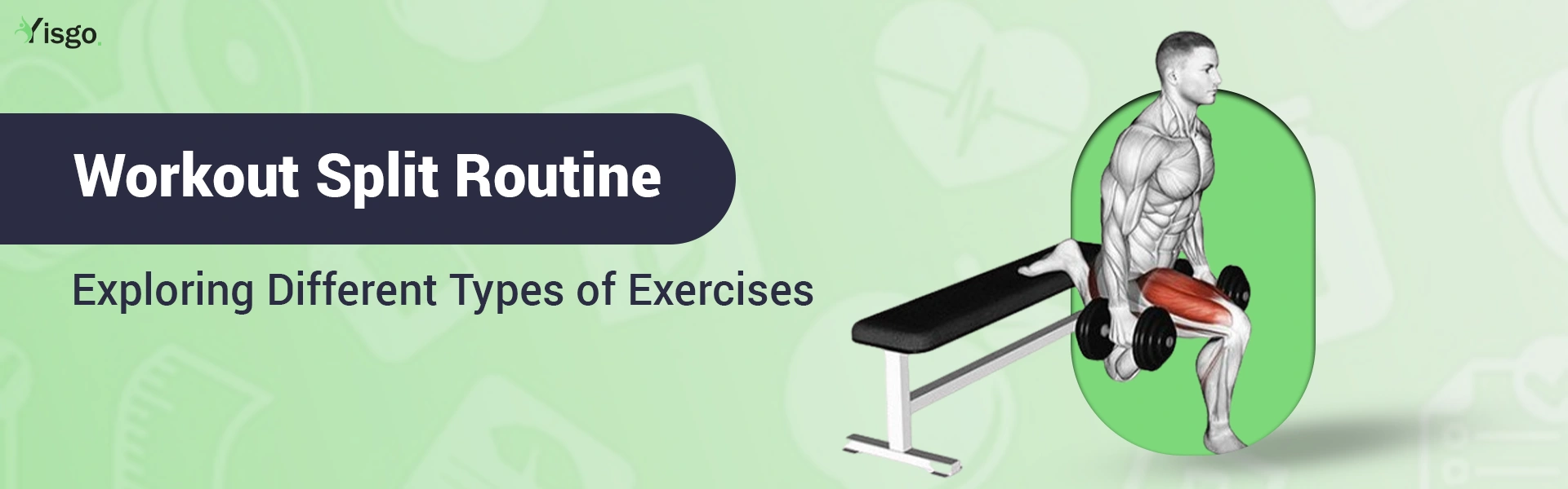 5 Day Workout Split Routine: Exploring Different Types of Exercises