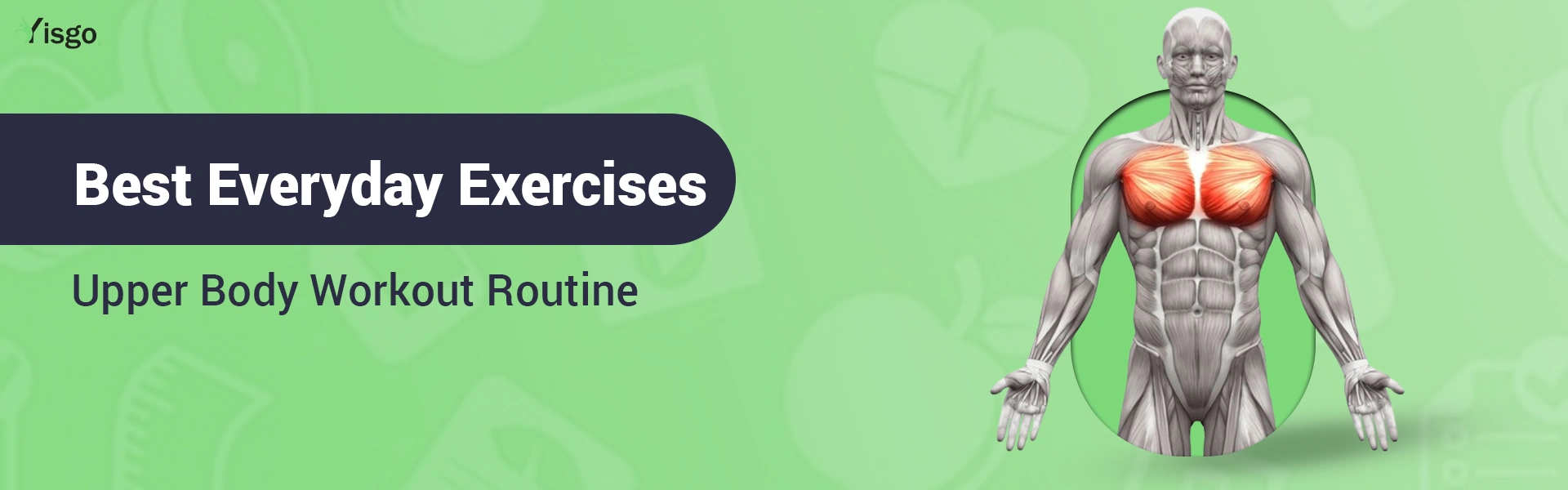 Upper Body Workout Routine: Best Everyday Exercises