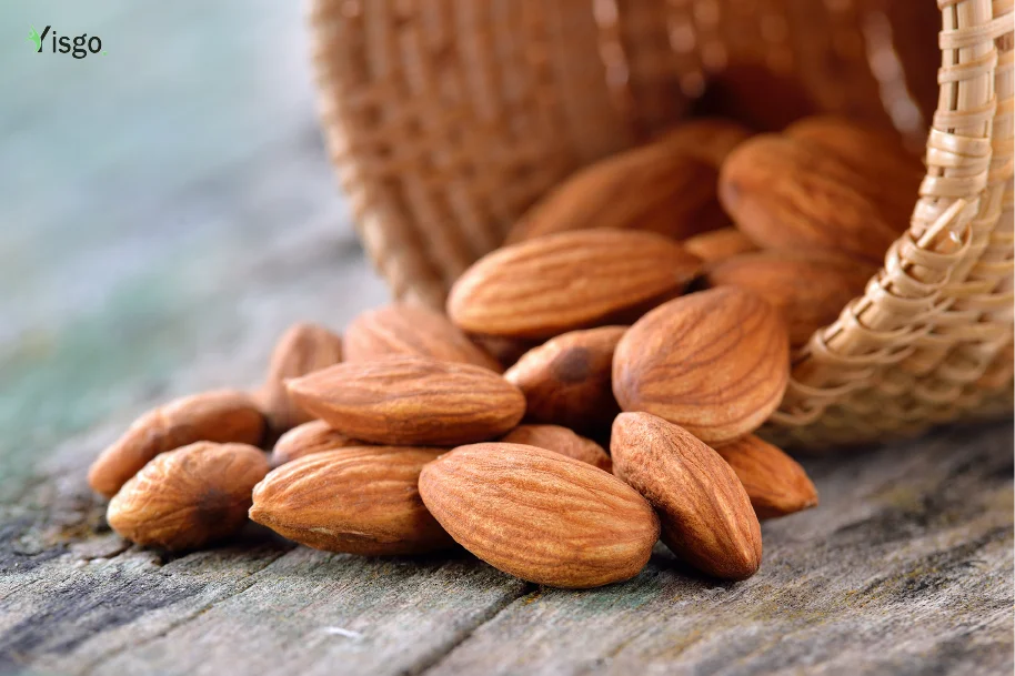 Protein in Almonds A Best Source of Protein