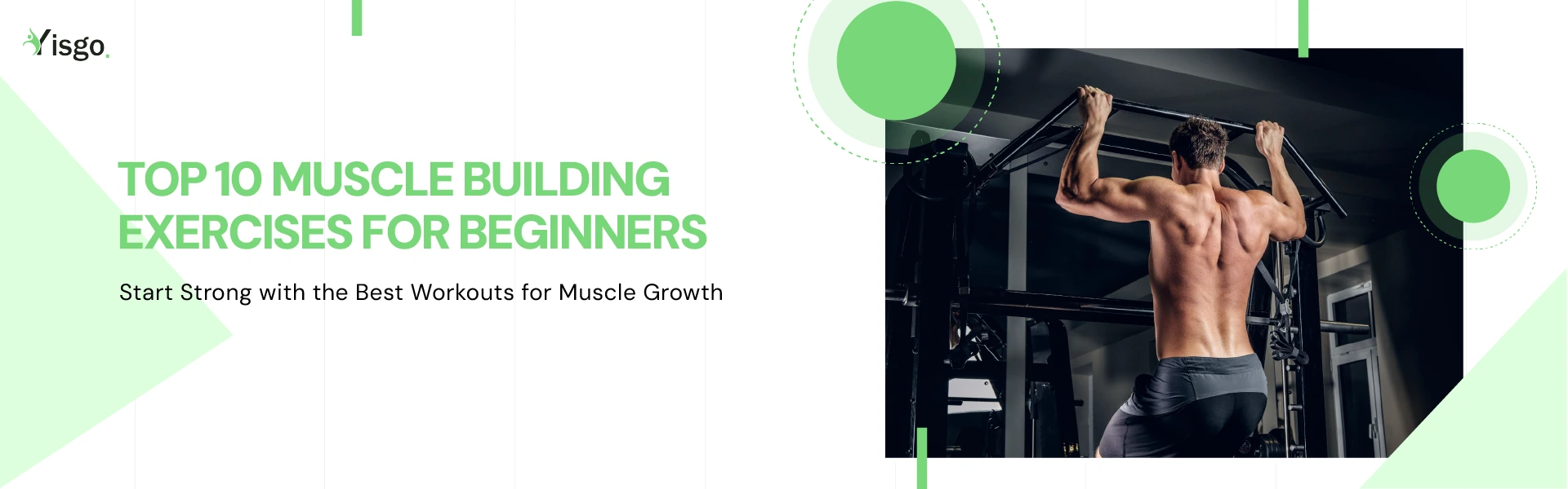 Top 10 Muscle Building Workouts for Beginners