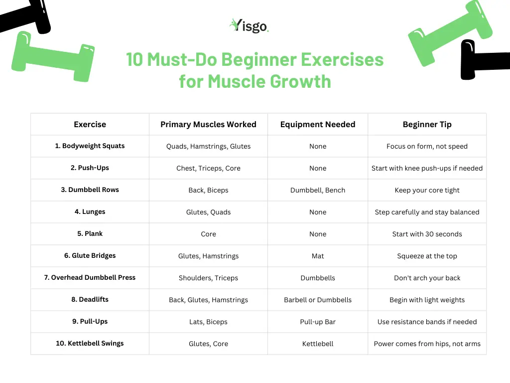 muscle building workout